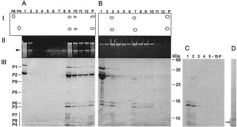 FIG. 5.