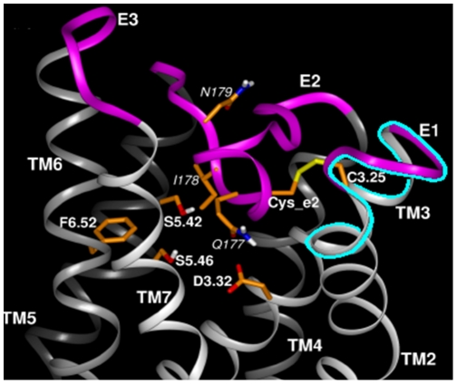 Figure 14