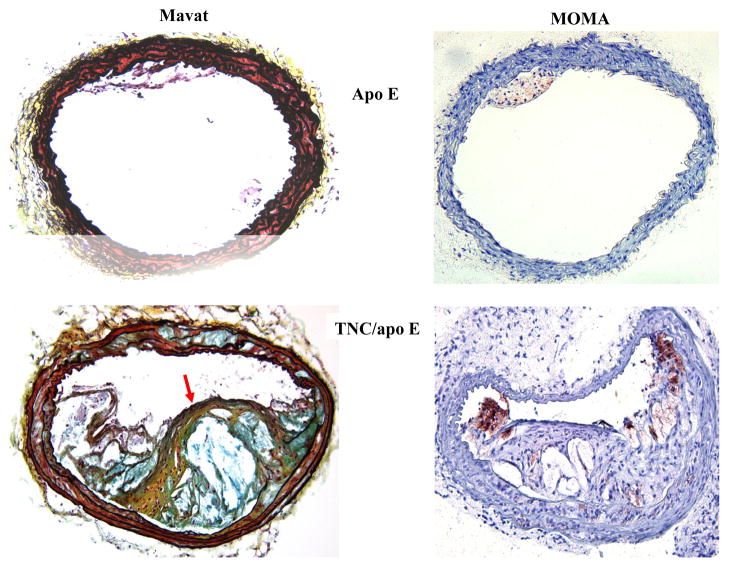 Fig. 5