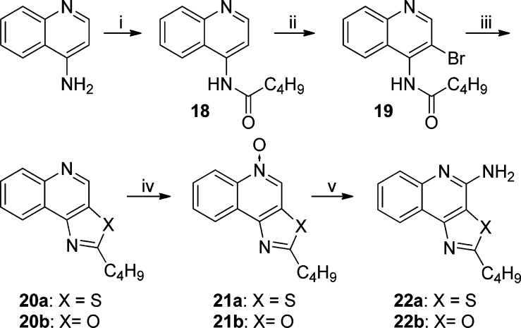 Scheme 3
