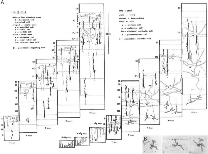 FIGURE 3