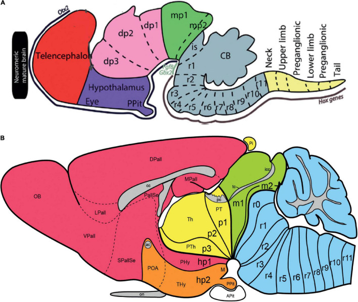 FIGURE 11