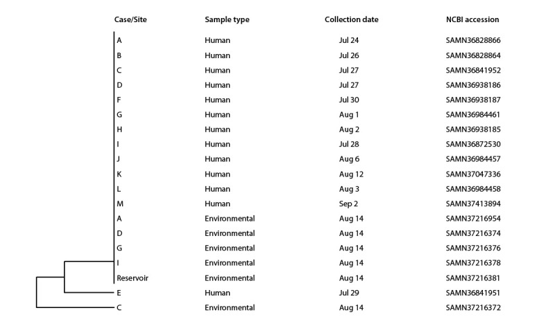 The figure is a dendrogram illustrating genetic relatedness of clinical and environmental isolates from samples collected during the outbreak investigation in a city in Utah during July–August 2023.