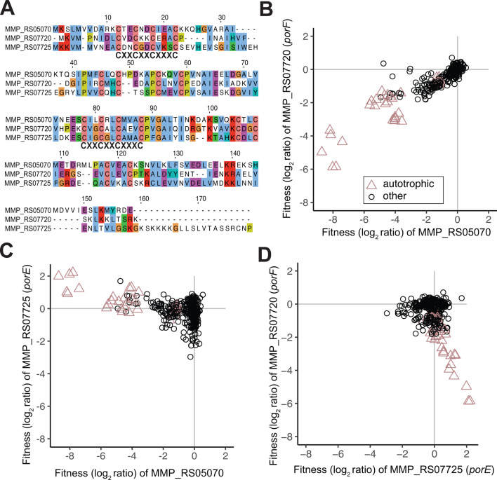 Protein sequence alignment depicts conserved regions and residues. Scatterplots compare fitness of genes of interest across all conditions, with a focus on autotrophic growth conditions.