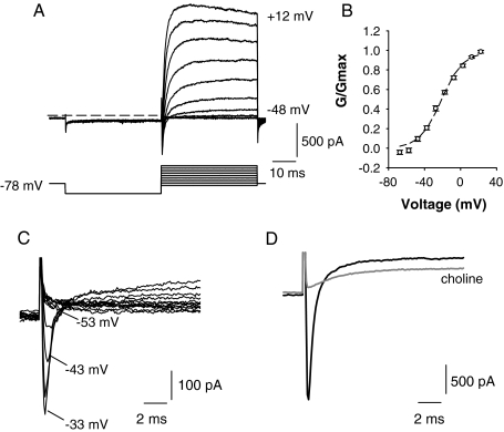 FIG. 3