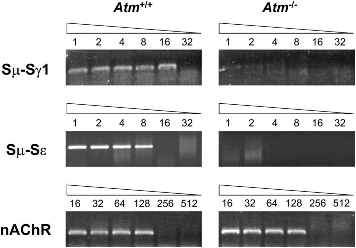 Figure 6.