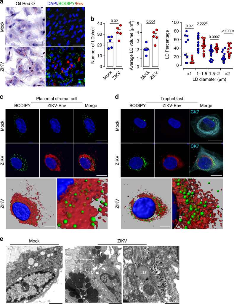 Fig. 4