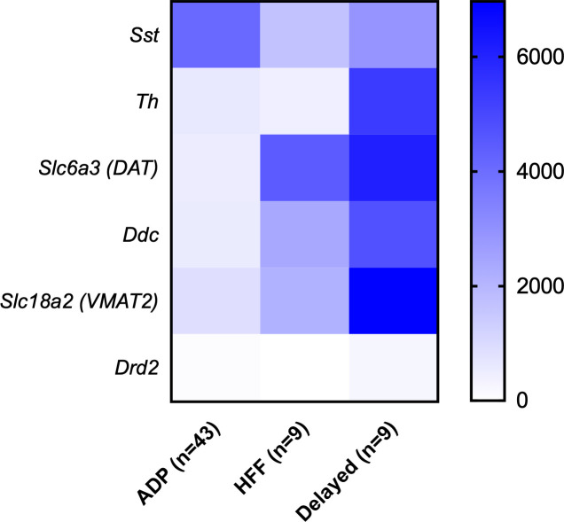 Figure 6—figure supplement 4.