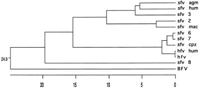 FIG. 7