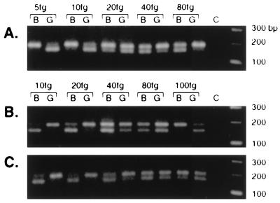 FIG. 6