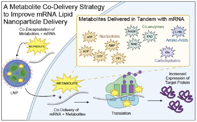 graphic file with name nihms-2117470-f0001.jpg