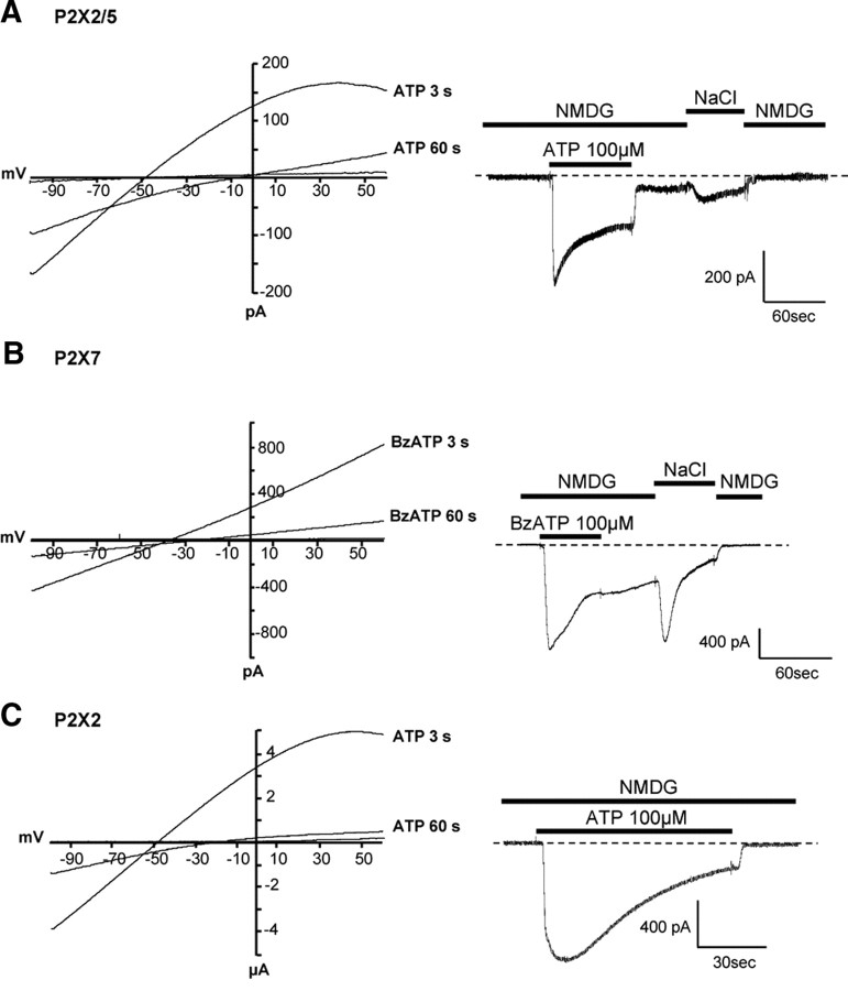 Figure 7.