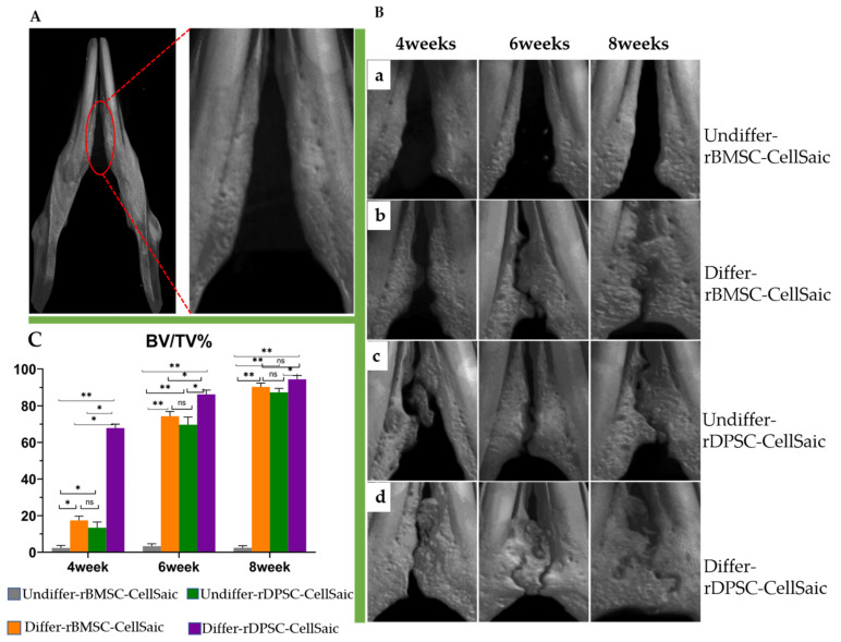 Figure 11