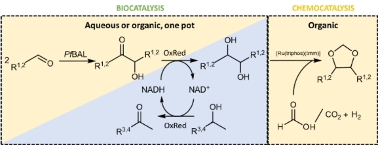 graphic file with name CSSC-16-0-g006.jpg