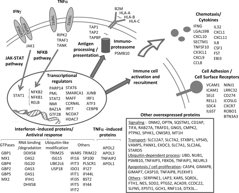 Fig. 6.