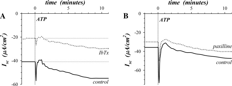 Fig. 3.