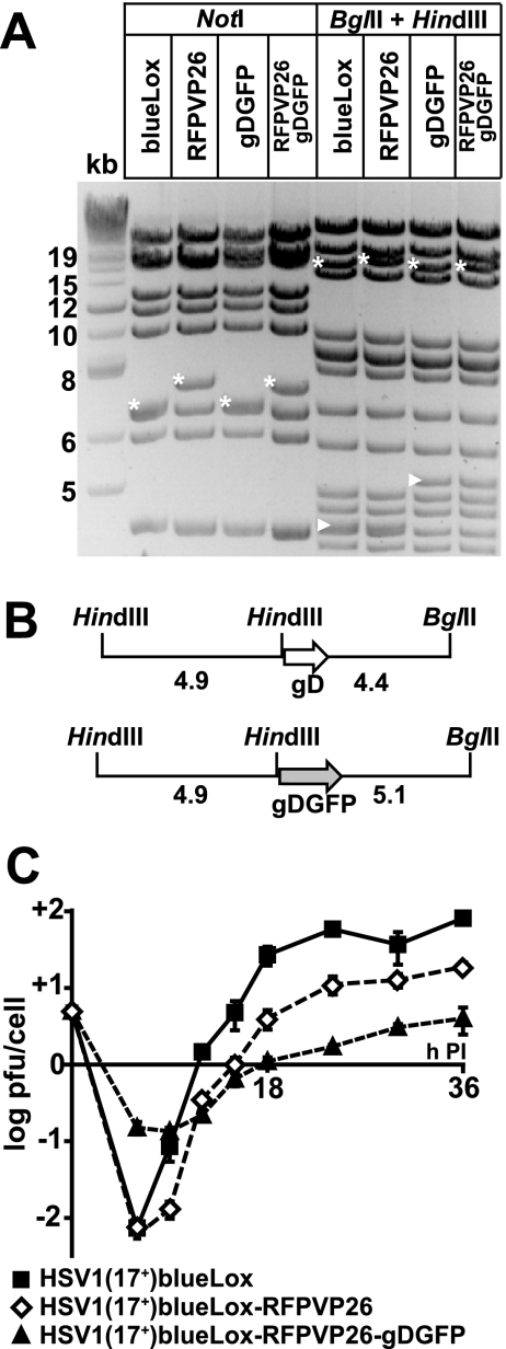 FIG. 5.