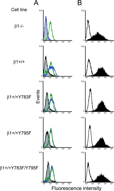 FIG. 1.