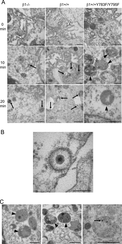 FIG. 6.