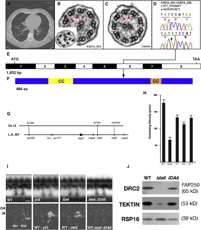 Figure 6