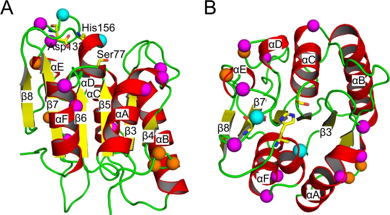 Fig 2