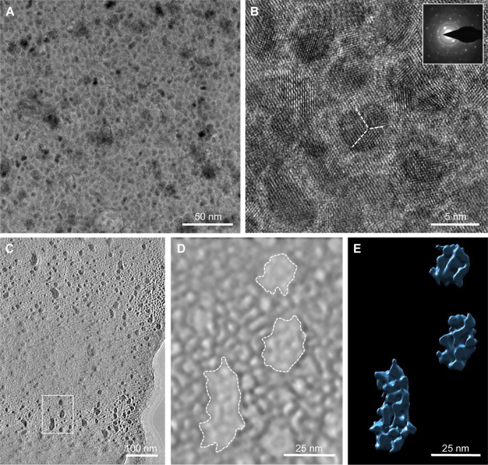 Fig. 3