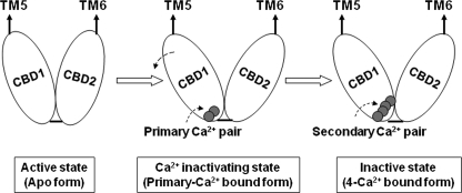 SCHEME 1.