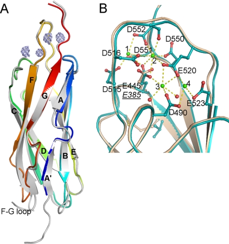 FIGURE 1.