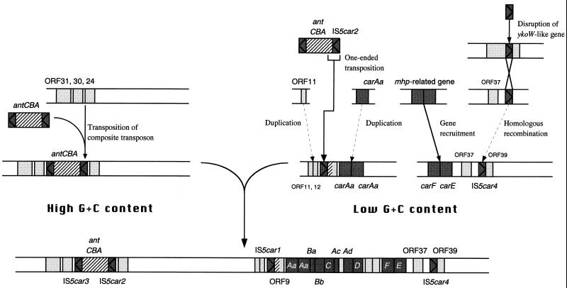 FIG. 11