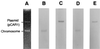 FIG. 10