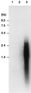 FIG. 9