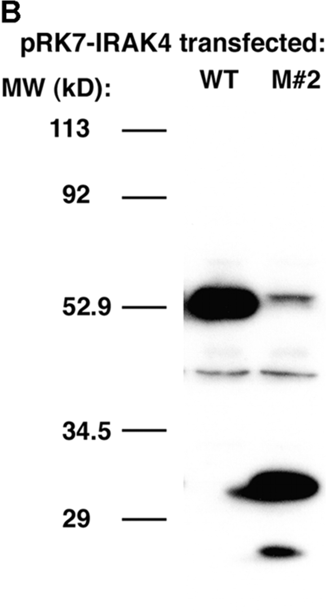 Figure 9.