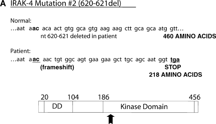 Figure 9.