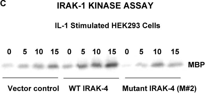 Figure 9.