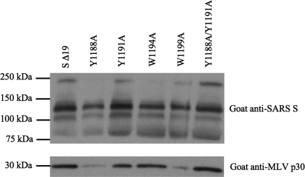 FIG. 7.