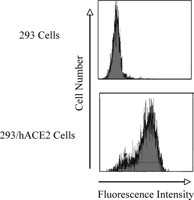 FIG. 8.