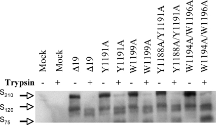 FIG. 4.