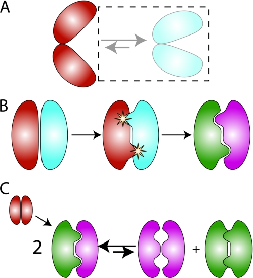 FIGURE 1.