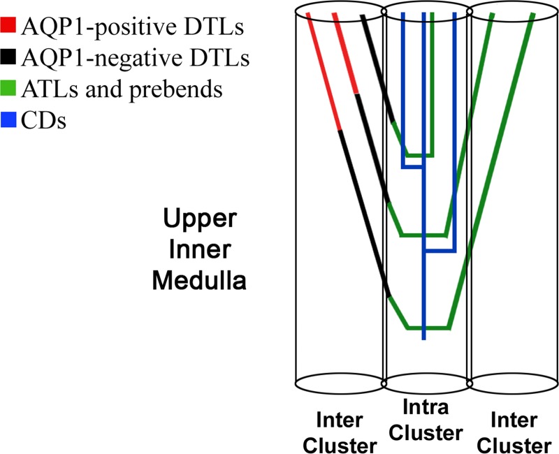 Fig. 10.