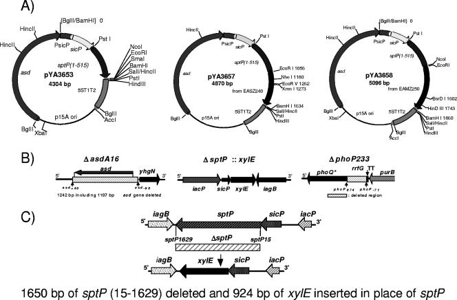 FIG. 1.