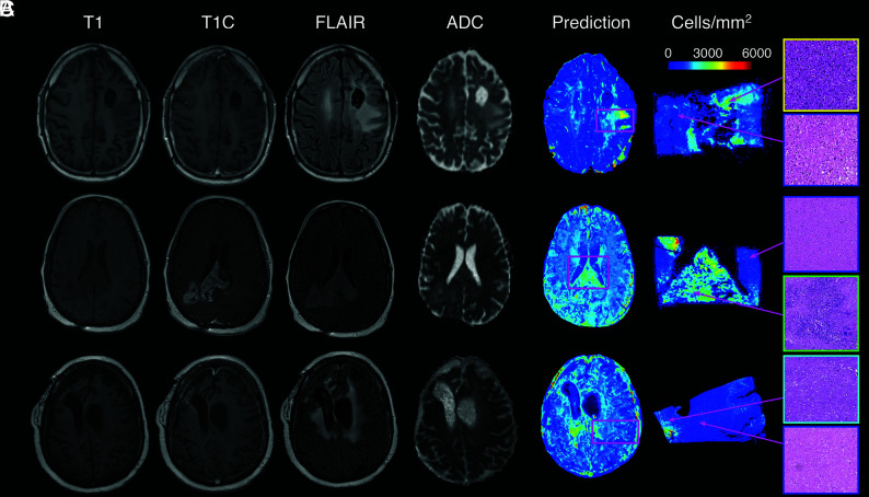 FIG 4.