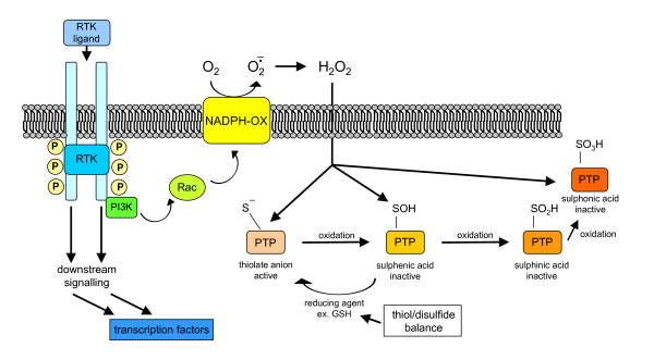 Figure 17