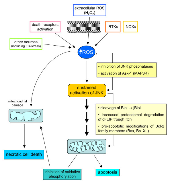 Figure 24