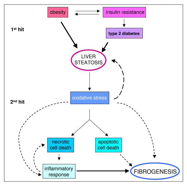 Figure 21