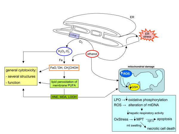 Figure 26