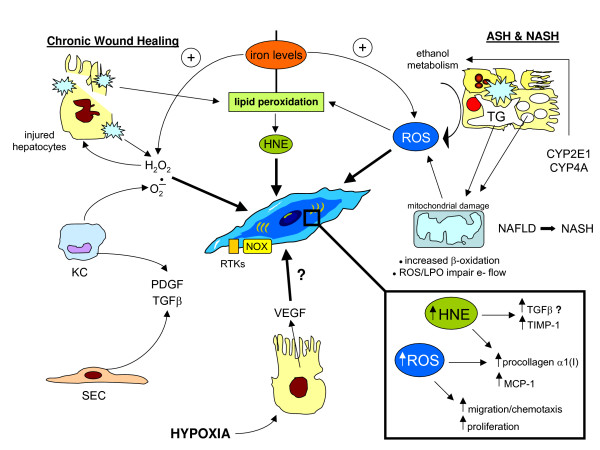 Figure 27