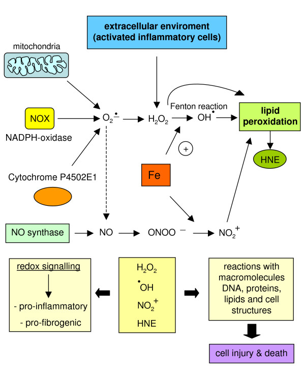 Figure 20