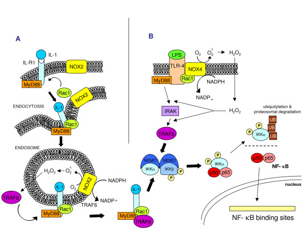 Figure 18