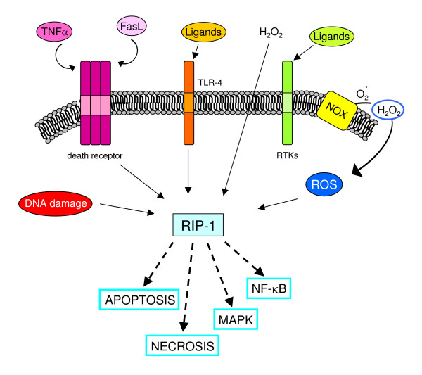 Figure 22