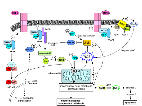 Figure 23